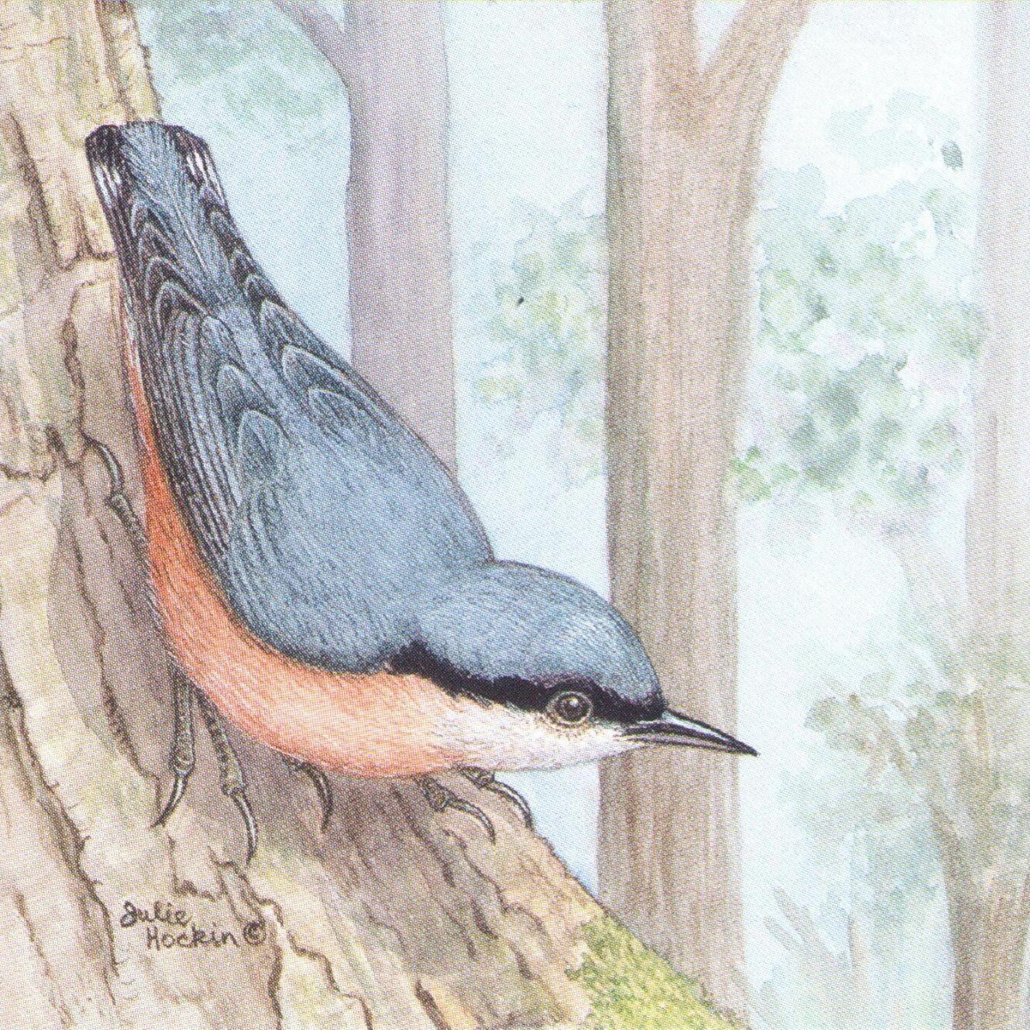 Square Fridge Magnet - Nuthatch