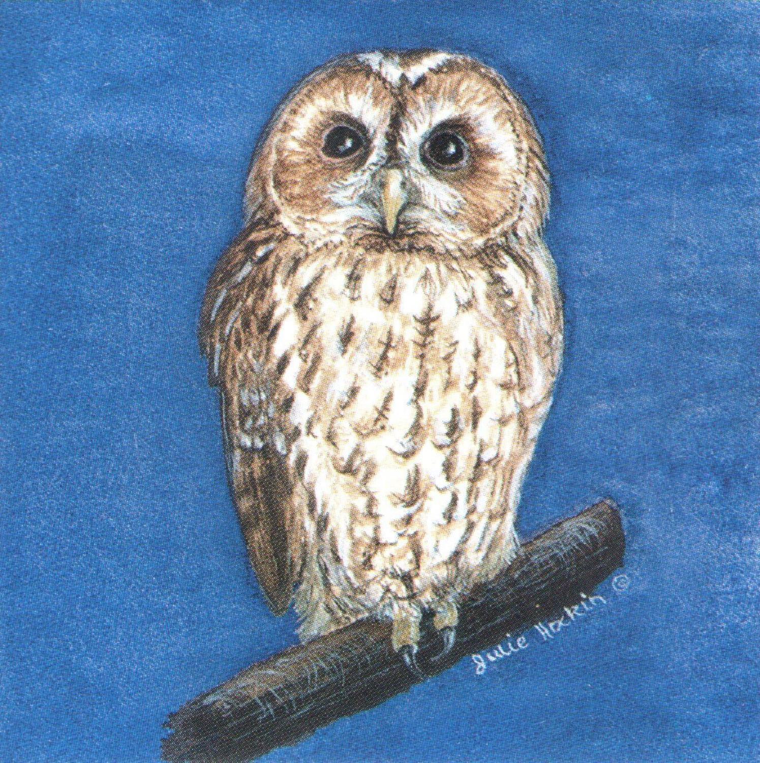 Square Fridge Magnet - Tawny Owl