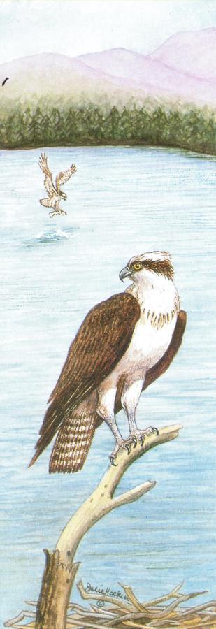 Bookmark - Osprey