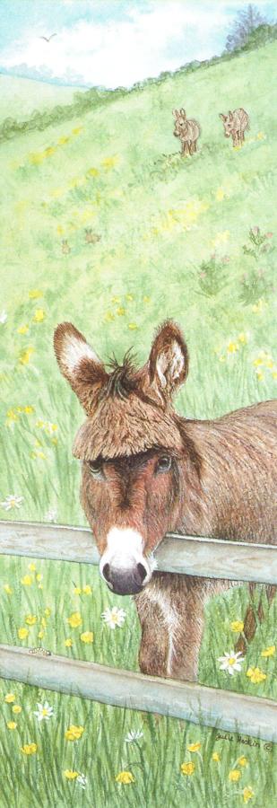 Bookmark - Donkey