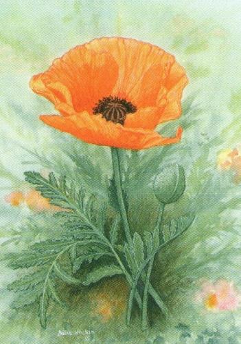 Rectangular Keyring - Poppy