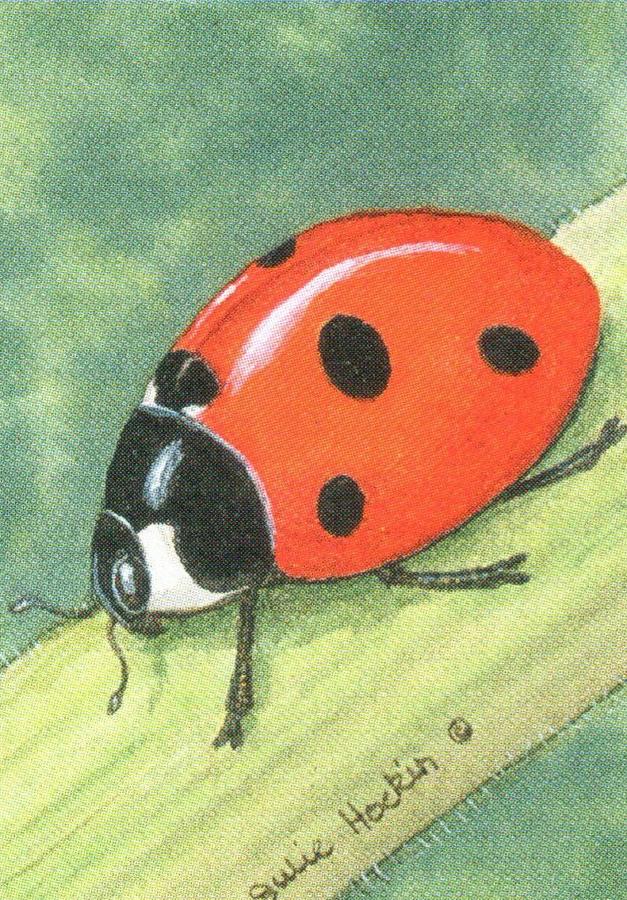 Rectangular Keyring - Ladybird