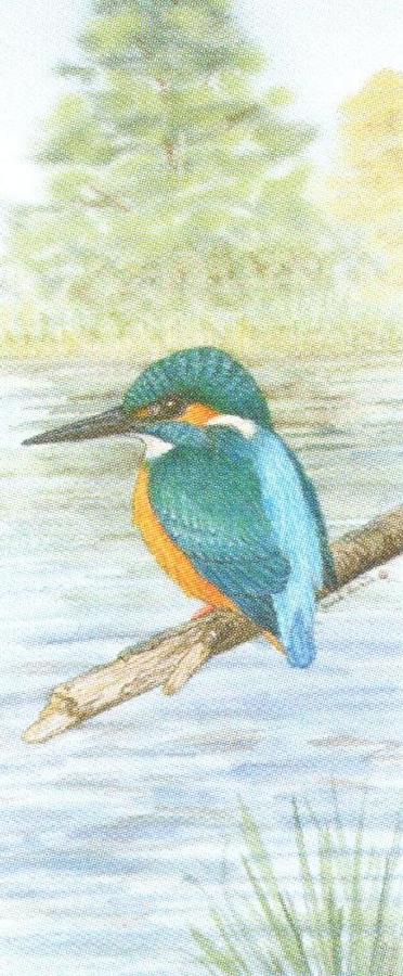 Mini Keyring - Kingfisher