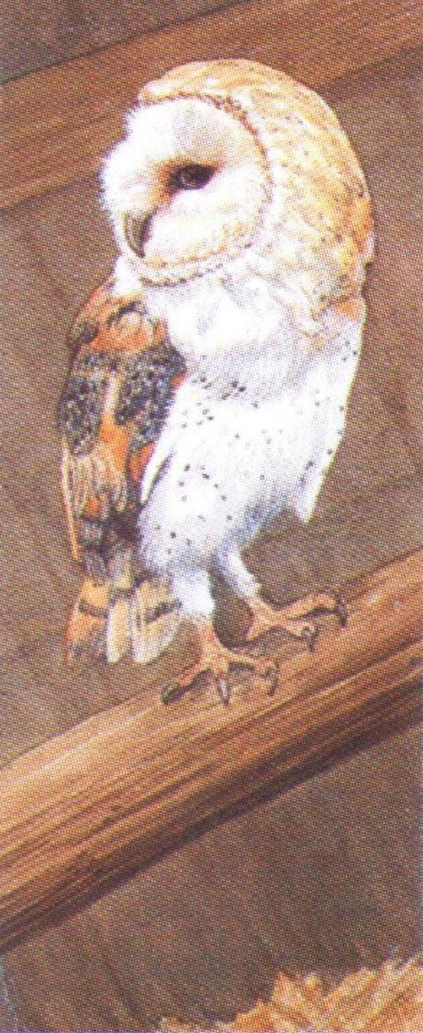Mini Keyring - Barn Owl