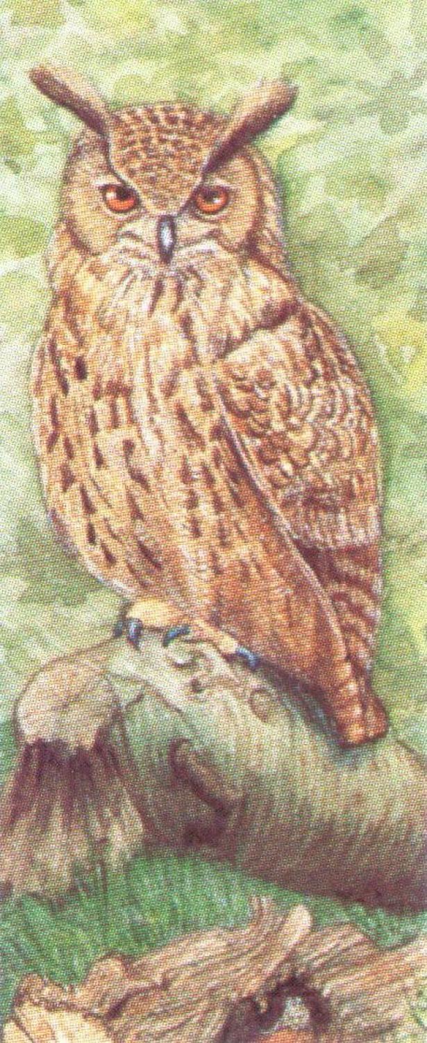 Mini Keyring - Eagle Owl