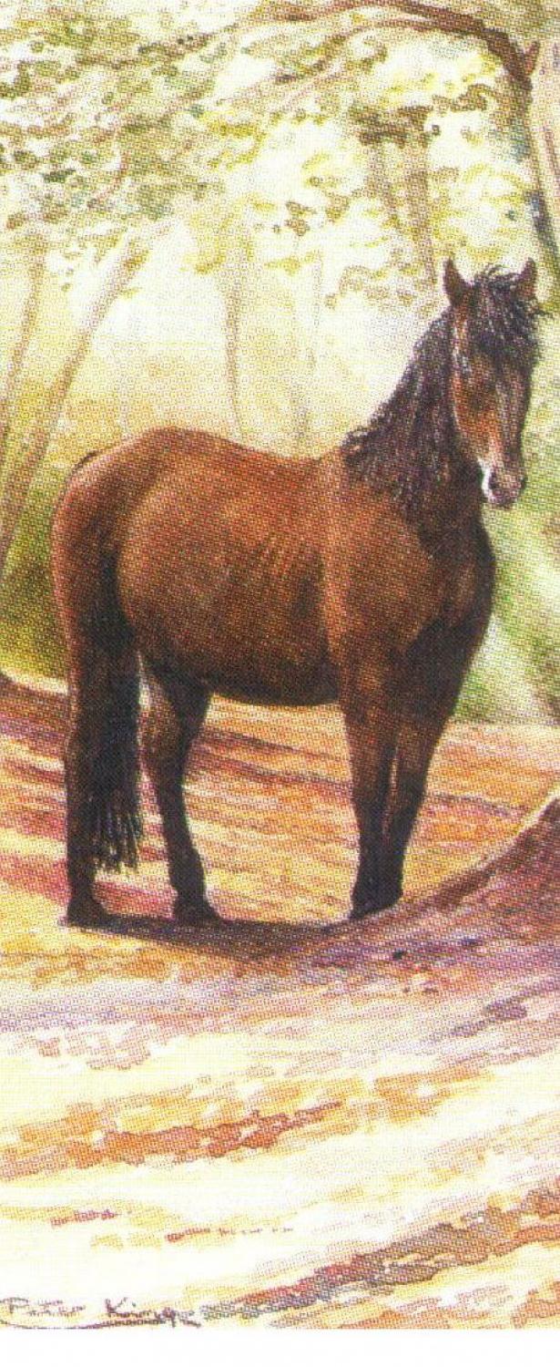 Mini Keyring - New Forest Pony