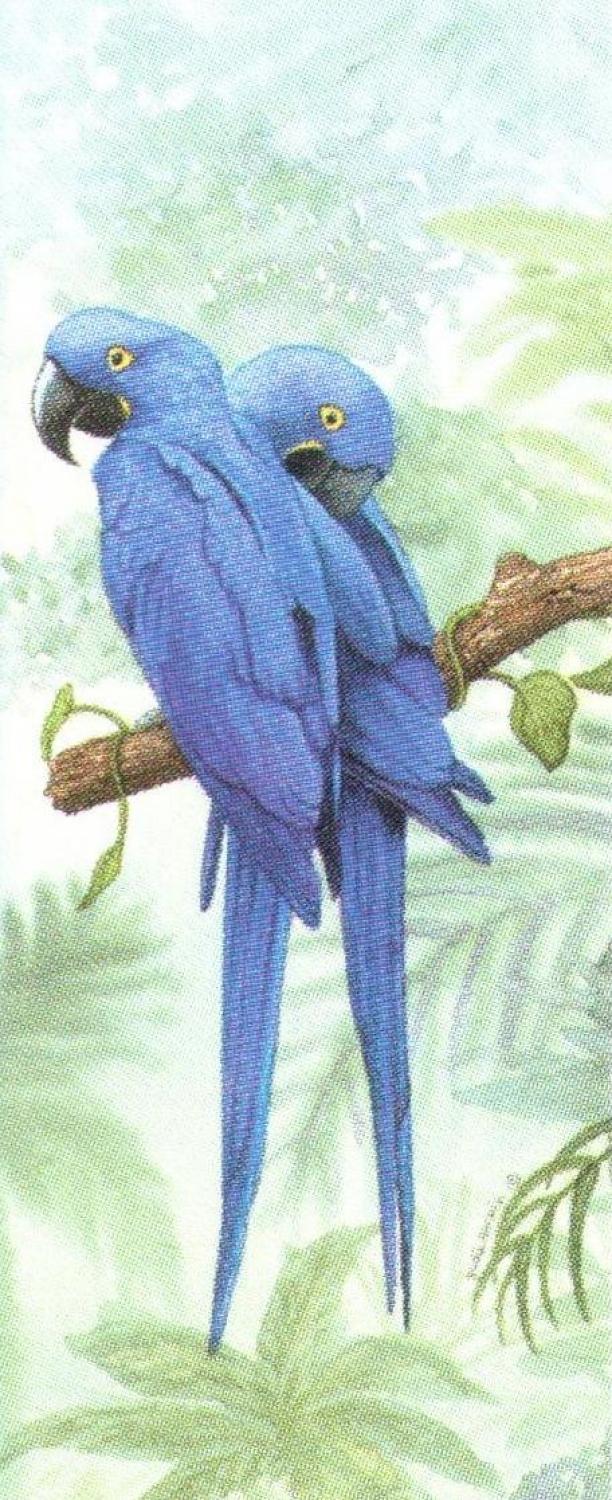 Mini Keyring - Hyacinth Macaw