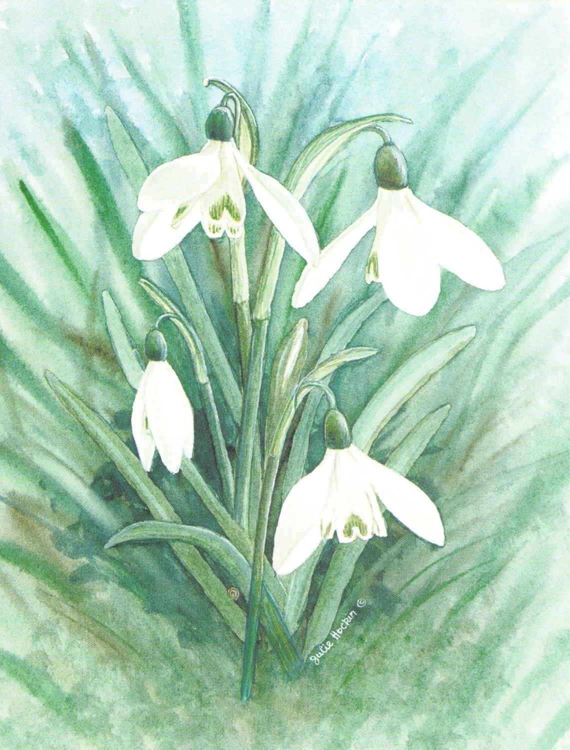 Pack of 5 Notecards - Snowdrop
