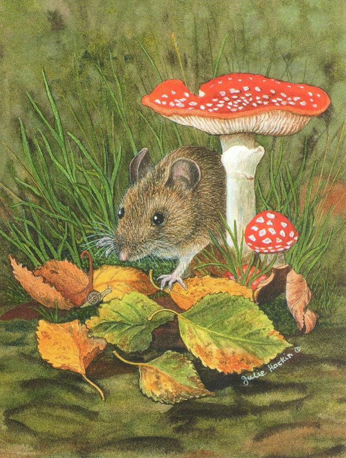 Pack of 5 Notecards - Woodmouse