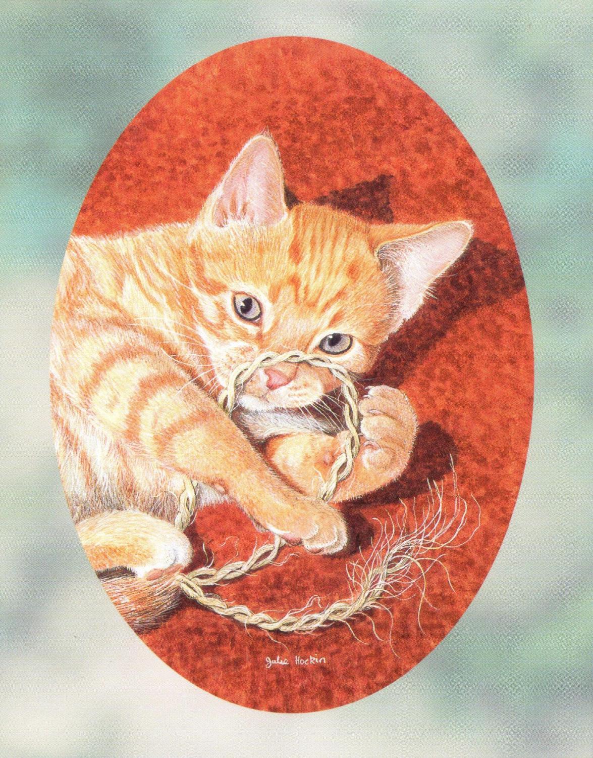 Pack of 5 Notecards - Cats Cradle