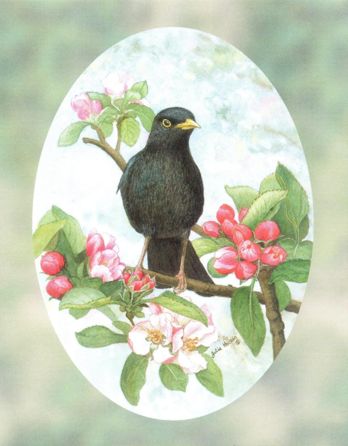 Pack of 5 Notecards - Blackbird (with border)