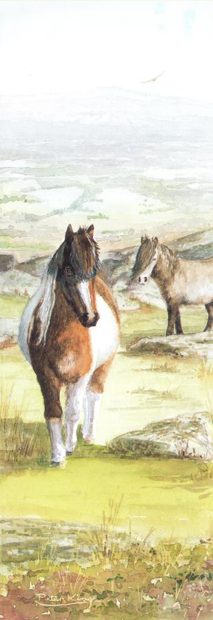 Bookmark - Dartmoor Pony