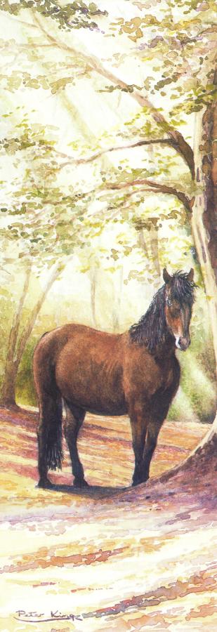 Bookmark - New Forest Pony