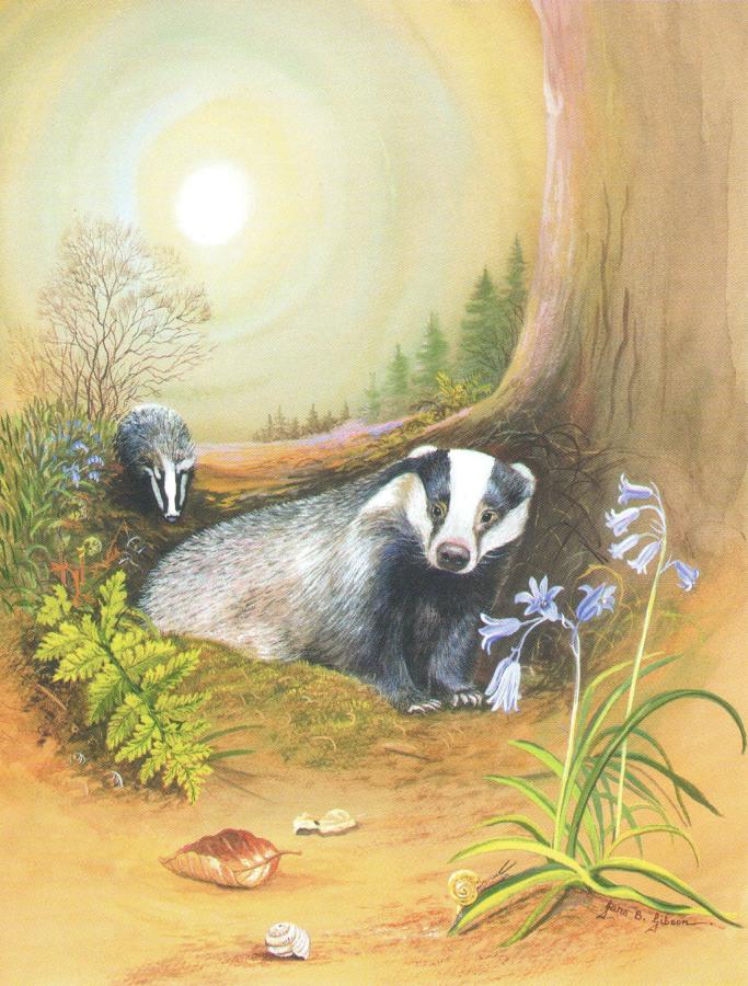 Pack of 5 Notecards - Badgers at Night