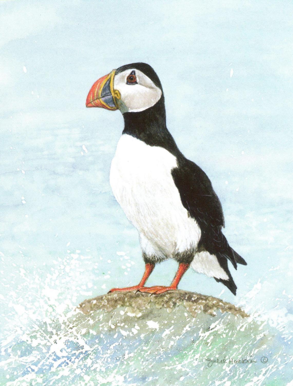 Pack of Notecards - Puffin