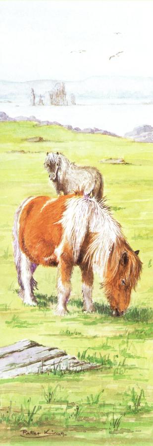 Bookmark - Shetland Pony