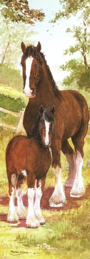 Bookmark - Shire Horse