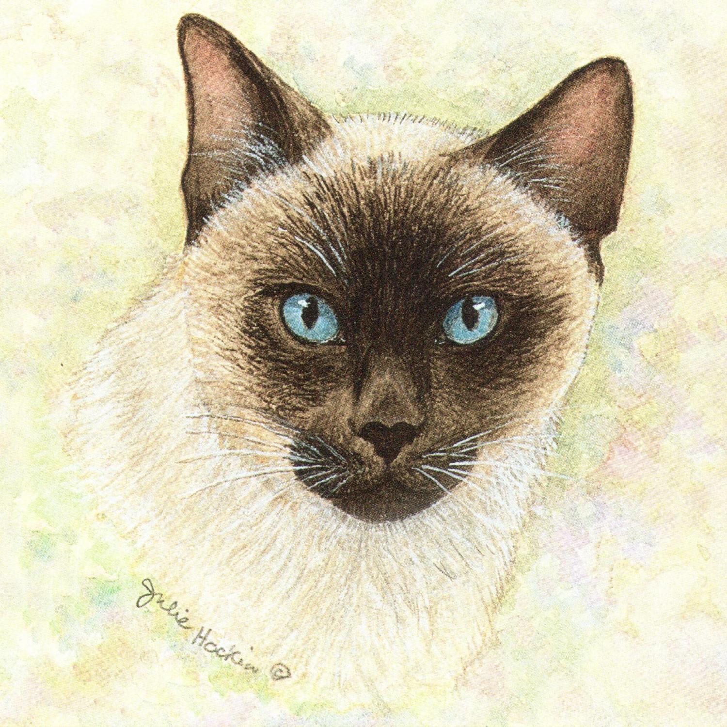 Acrylic Coaster - Siamese Cat