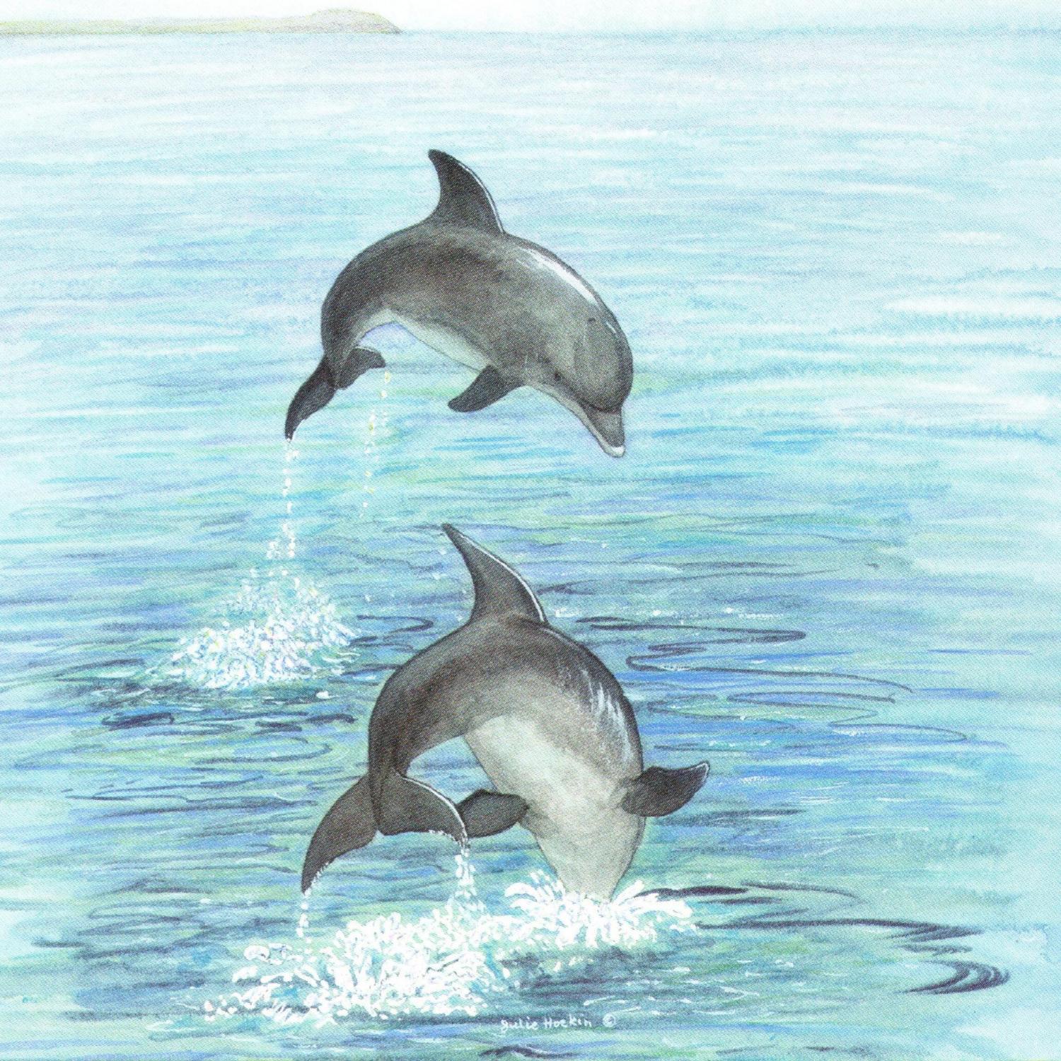 Acrylic Coaster - Dolphins