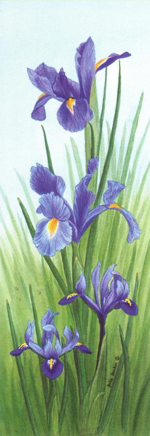 Bookmark - Iris