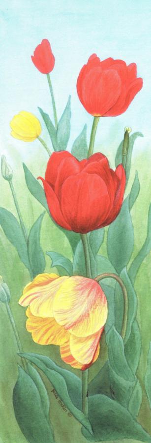Bookmark - Tulips