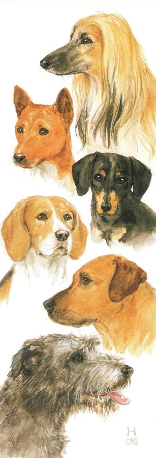Bookmark - Hounds