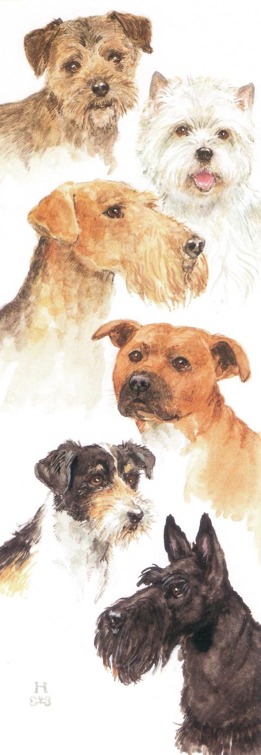 Bookmark - Terriers