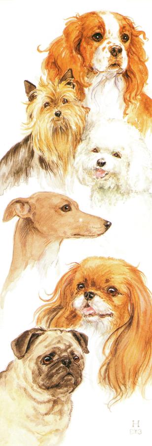 Bookmark - Toy Dogs