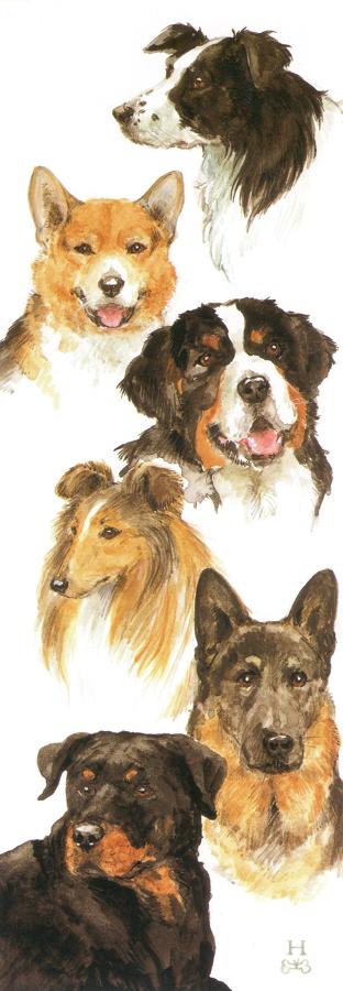 Bookmark - Working Dogs