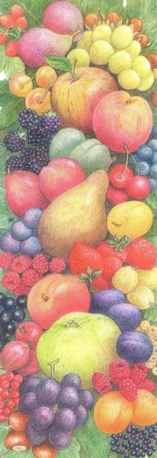 Bookmark - Kitchen Fruit