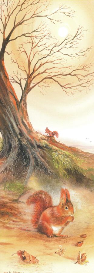 Bookmark - Red Squirrel