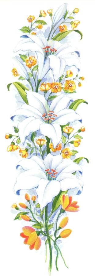 Bookmark - White Lily
