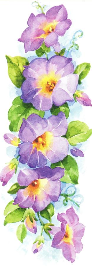 Bookmark - Morning Glory