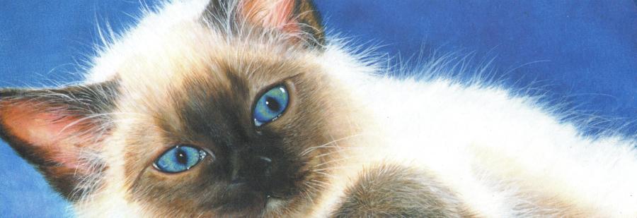 Bookmark - Ole Blue Eyes