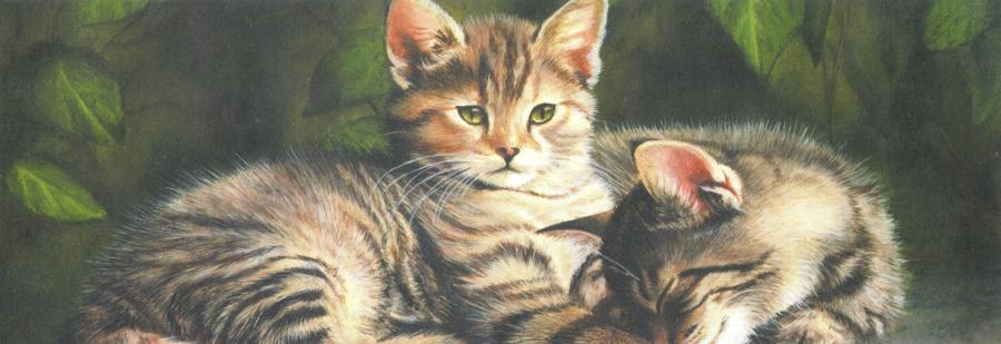 Bookmark - Kittens on a Wall
