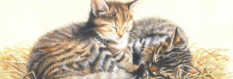 Bookmark - Cats in Straw