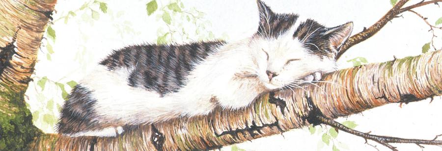 Bookmark - Catnap