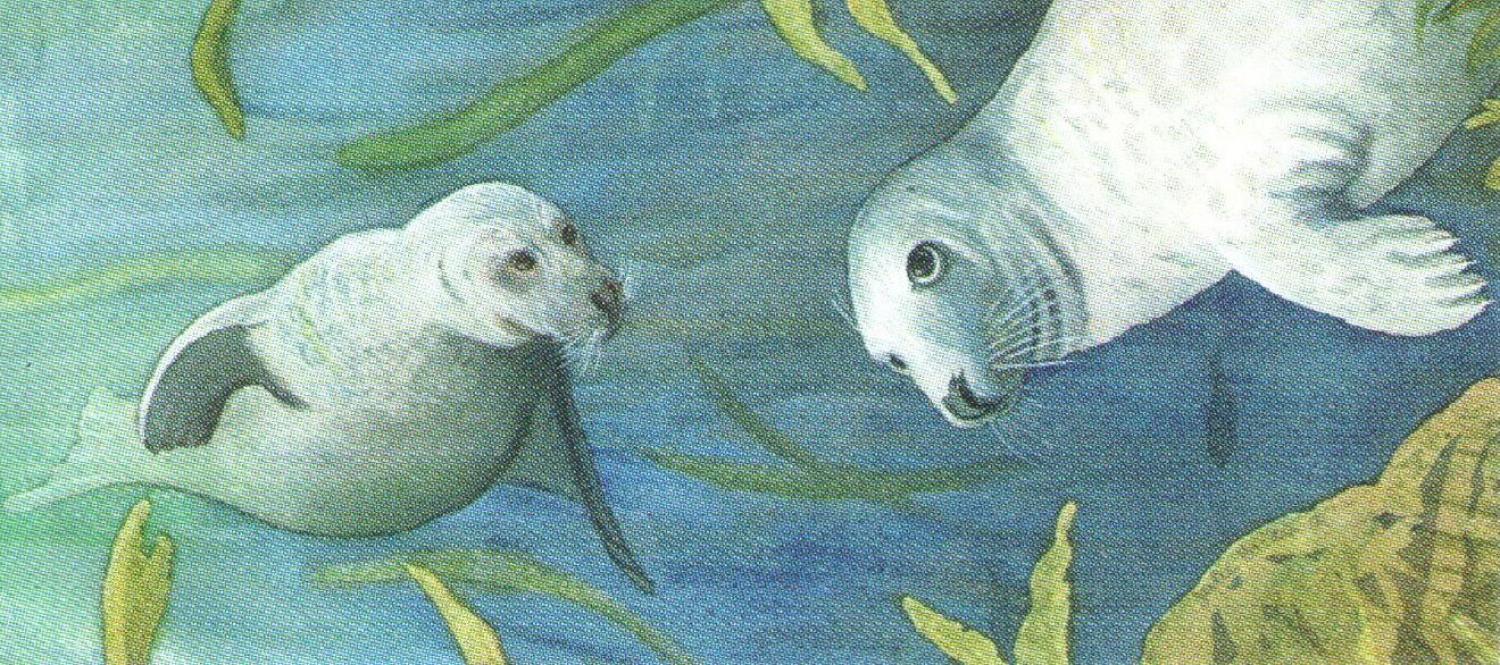 Letter Opener - Grey Seals