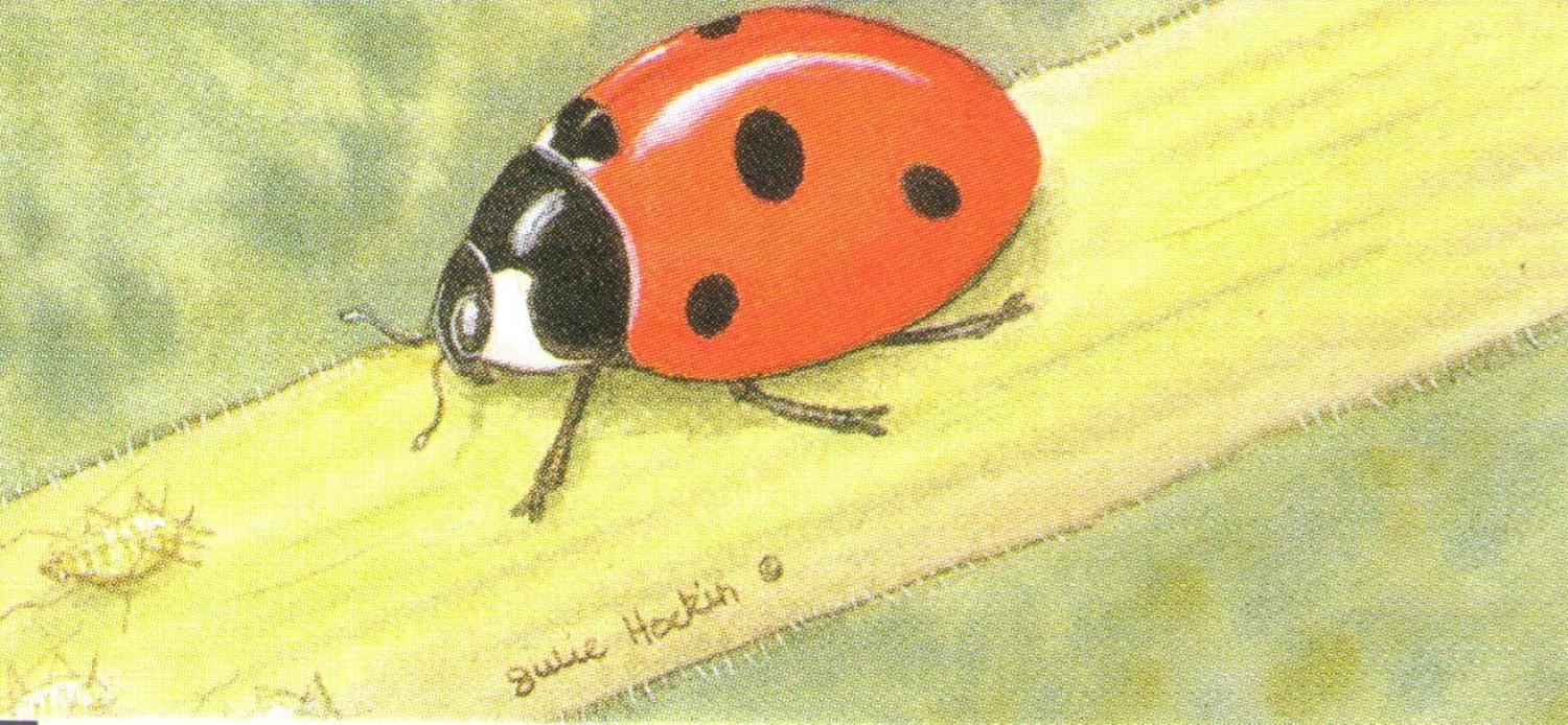 Letter Opener - Ladybird