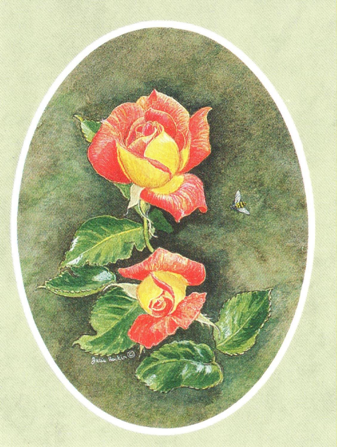Folded Gift Tag Rose Picadilly