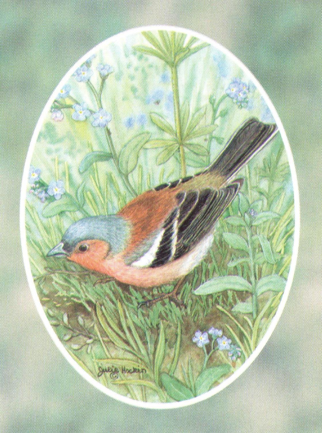 Folded Gift Tag Chaffinch