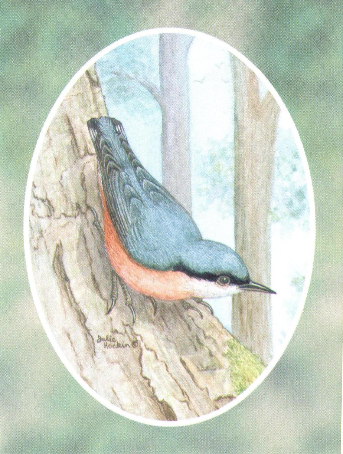 Folded Gift Tag Nuthatch