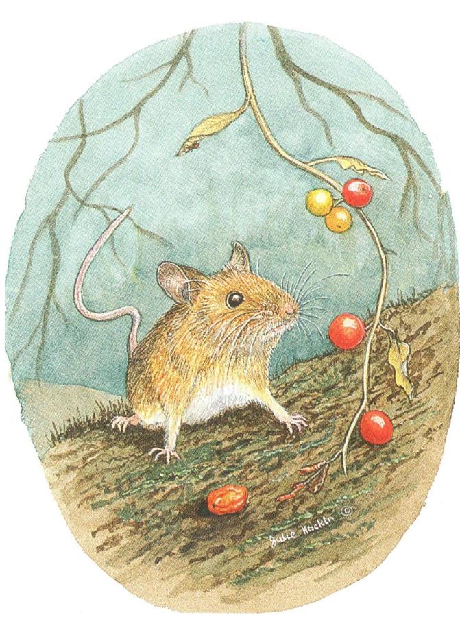 Strung Gift Tag Wood Mouse