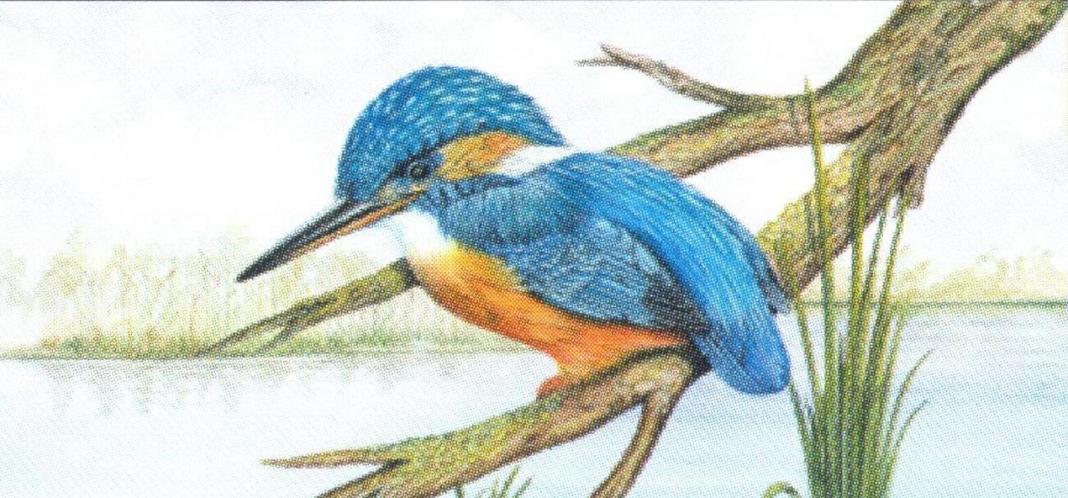 Letter Opener - Kingfisher