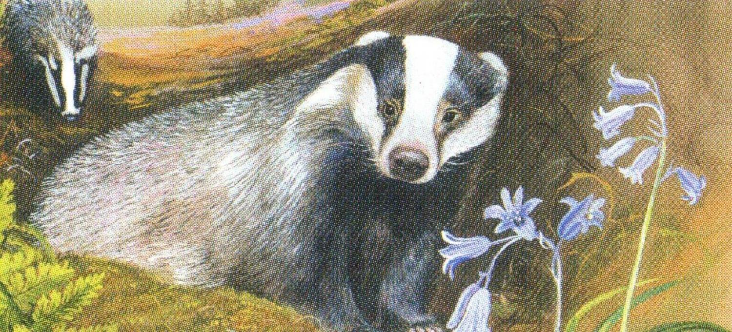 Letter Opener - Badgers at Night
