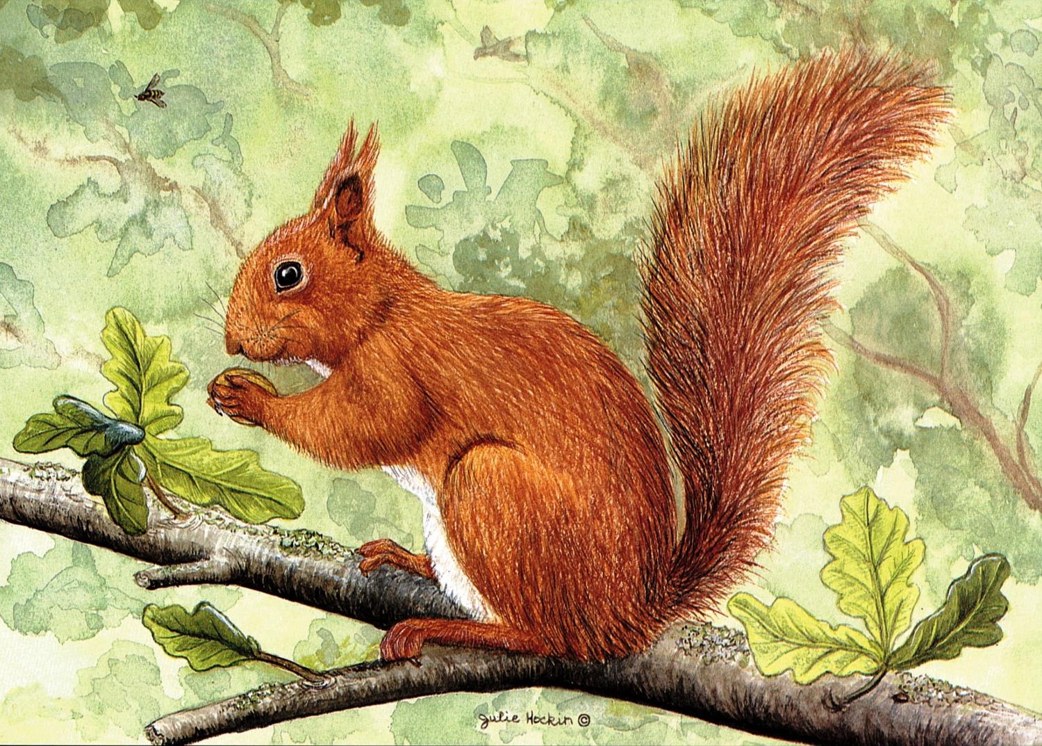 Glass Work Top Saver - Red Squirrel