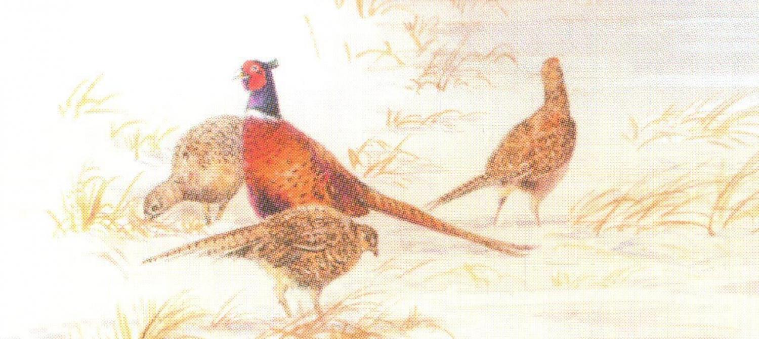 Letter Opener - Pheasants