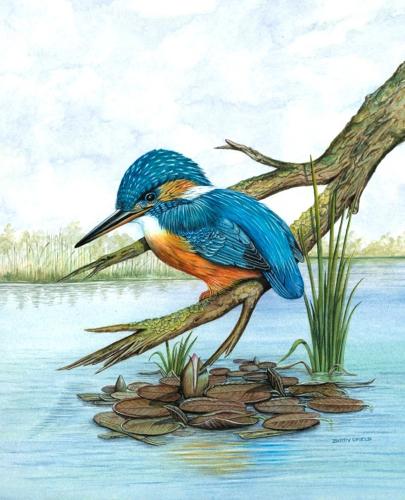 Glasses Cleaning Cloth - Kingfisher