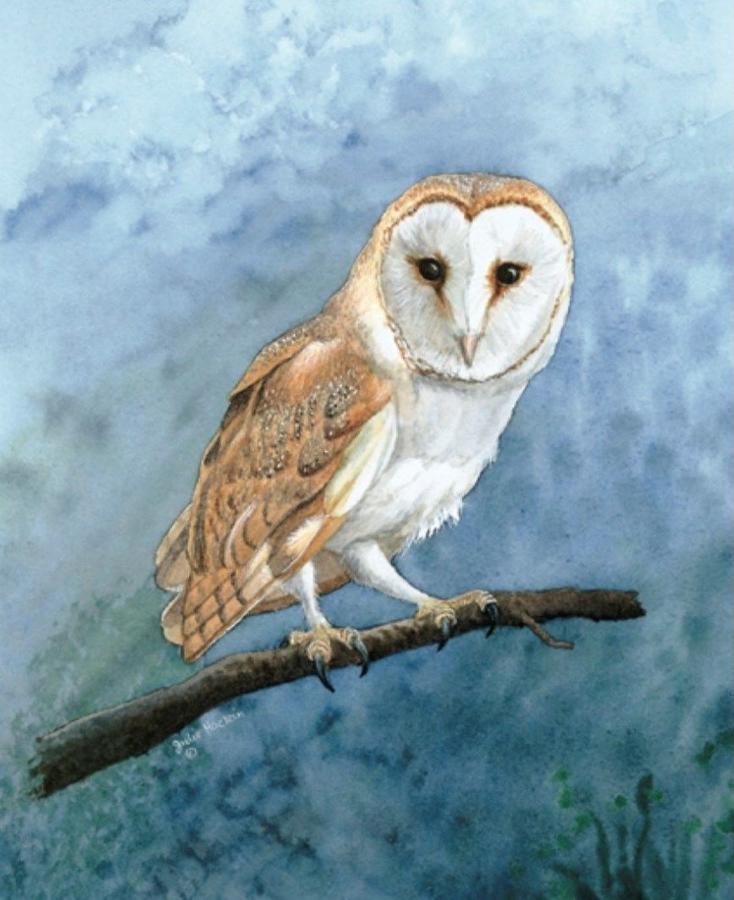 Glasses Cleaning Cloth - Barn Owl