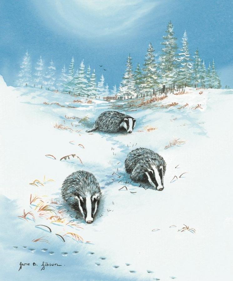 Glasses Cleaning Cloth - Badgers in the Snow